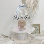Gender Reveal Box