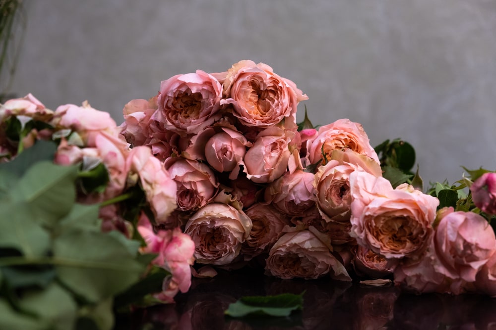 language of flowers pink rose meaning min - The Language of Flowers: What Do They Really Mean?