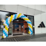 Standard Balloon Arch - Adidas