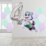 [Paw Patrol] Everest Number Package