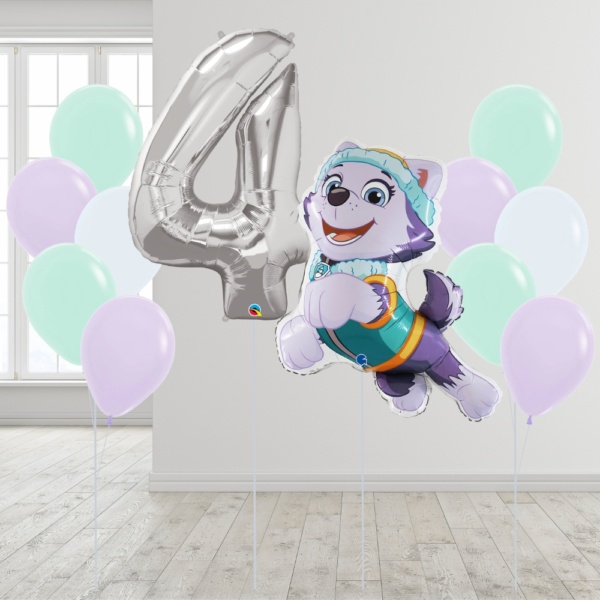 [Paw Patrol] Everest Number Package