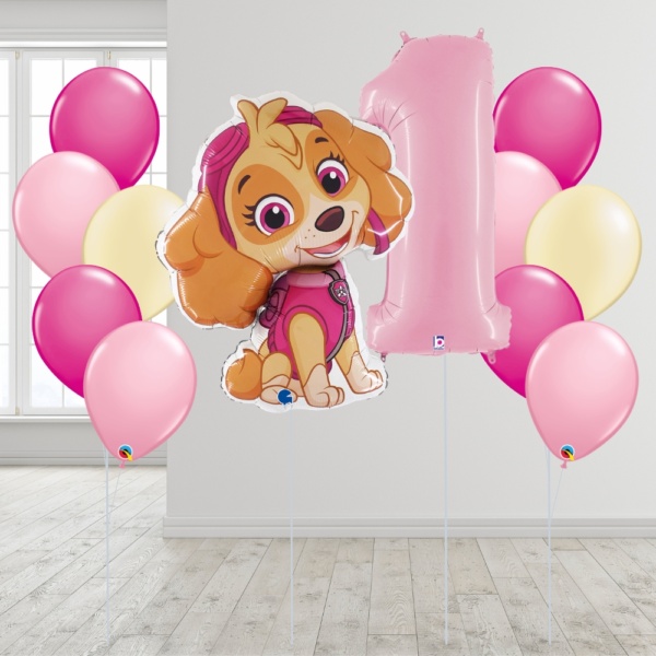 [Paw Patrol] Skye Number Package