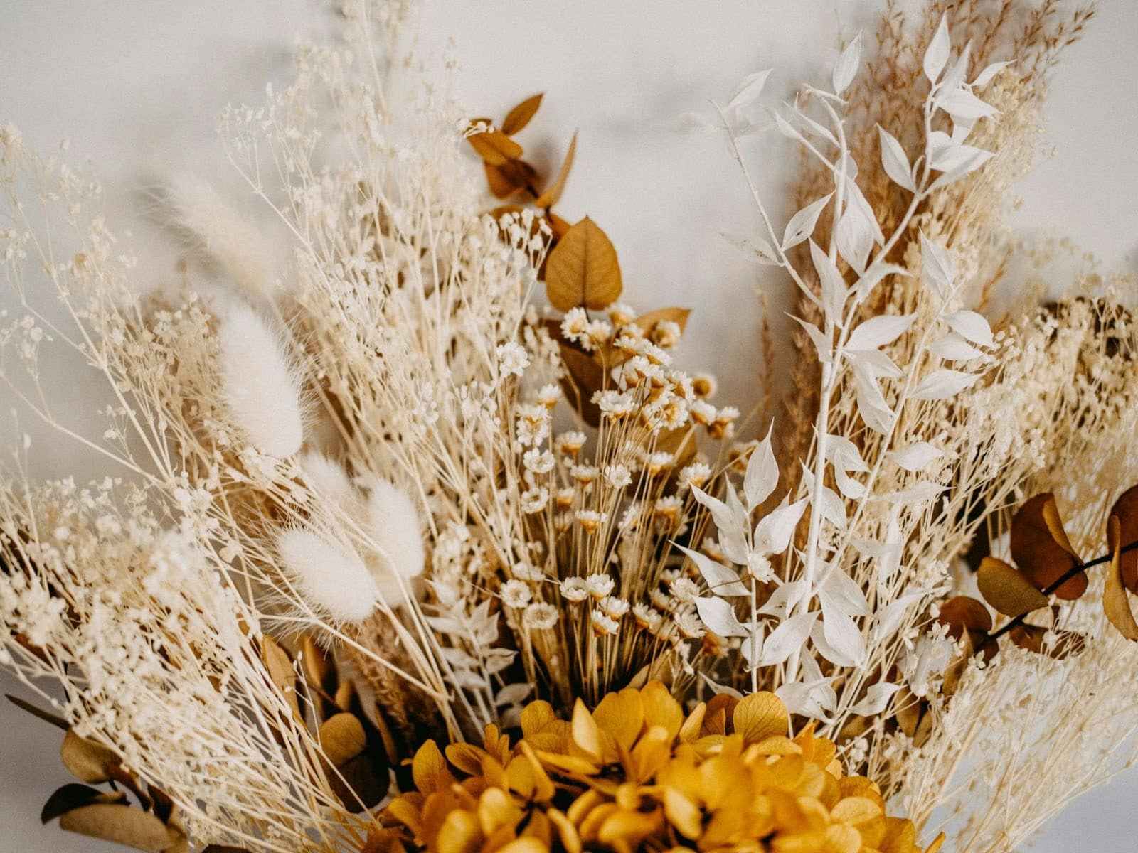 4 Methods How To Preserve Flowers And Keep Lasting Memories (1)_11zon