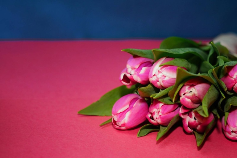 A Look At How Long Preserved Flowers Last