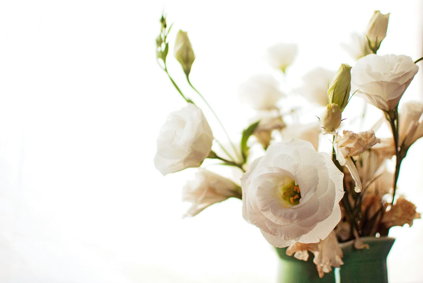 10 Simple Minimalist Floral Arrangement Ideas