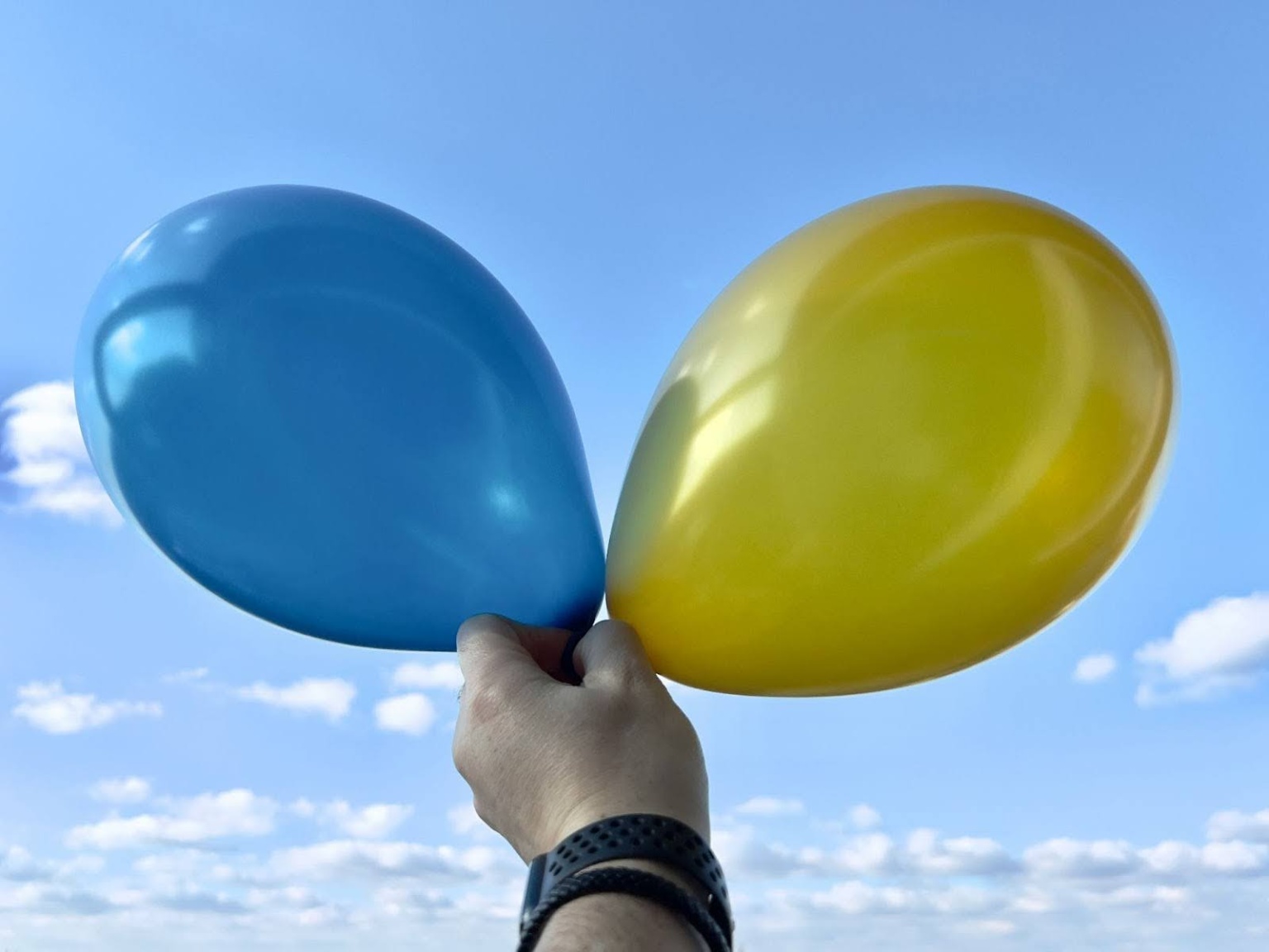 5 Techniques How To Make Balloon Sculptures At Home | BearloonSG