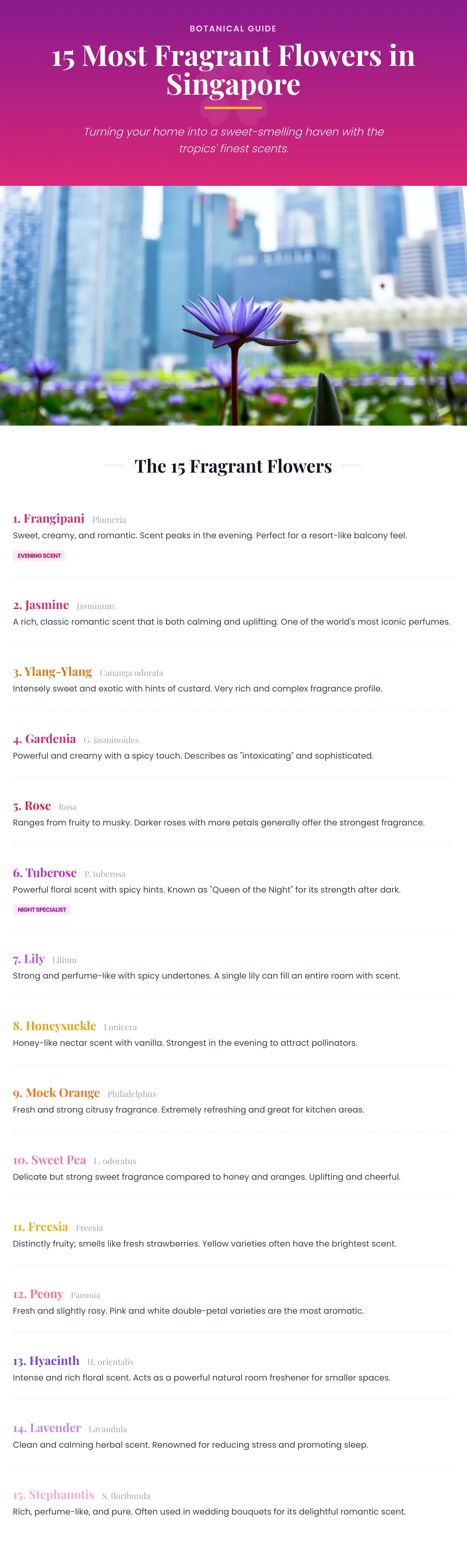 what are the most fragrant flowers_ infographics