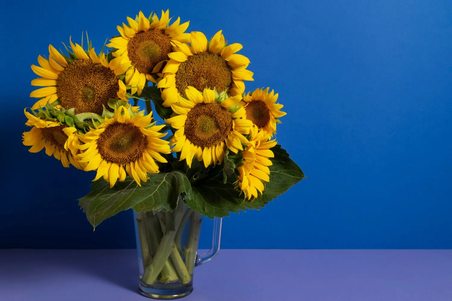 10. Sunflowers