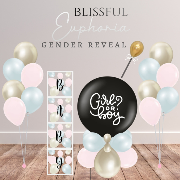 Blissful Euphoria Gender Reveal Balloon Package