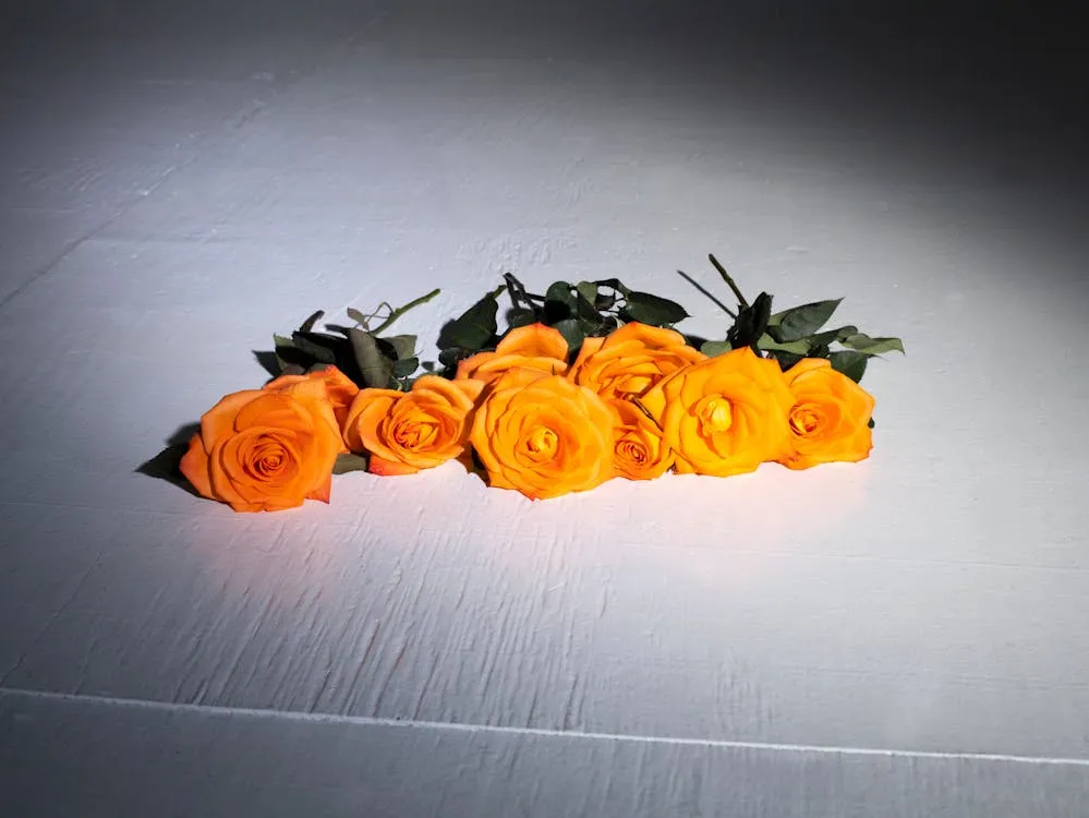 Beautiful Floral Pairings For Orange Roses