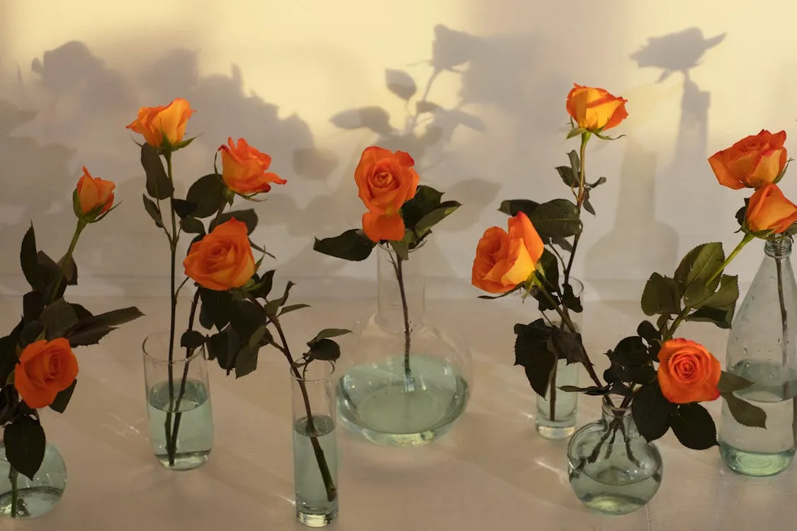 What Do Orange Roses Mean