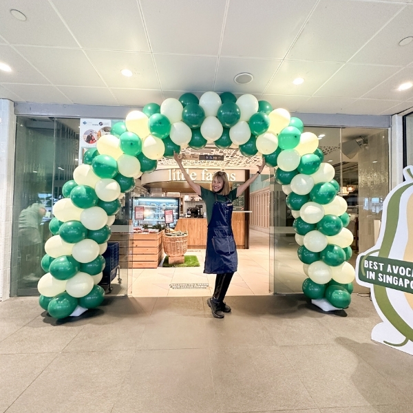 Arch balloon decorations